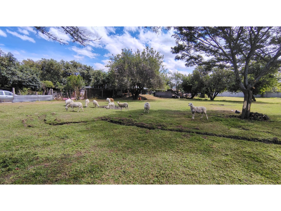 390mil Venta Terreno, Tumbaco, 2.600 m² con acceso al Chaquiñán — foto 3