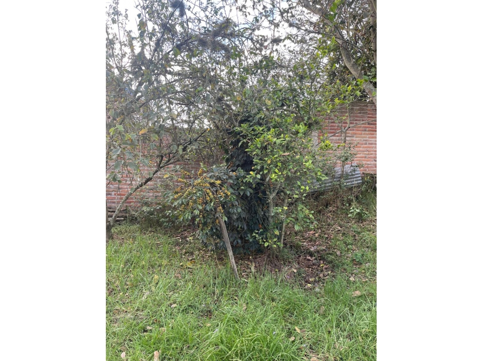 258mil Venta Terreno en el Conjunto en Tumbaco 1.123 m² - 3