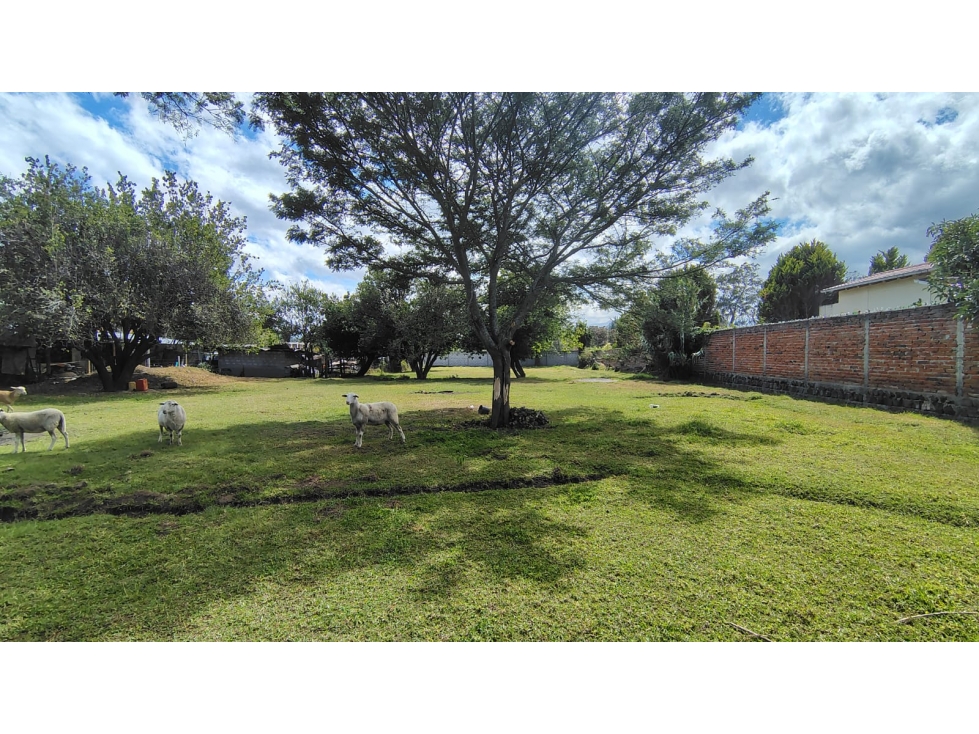 390mil Venta Terreno, Tumbaco, 2.600 m² con acceso al Chaquiñán — foto 4
