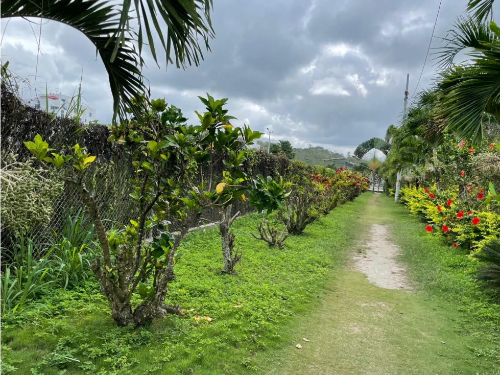 Terreno para Proyecto Inmobiliario en Tonsupa Precio negociable 350m2 - 6