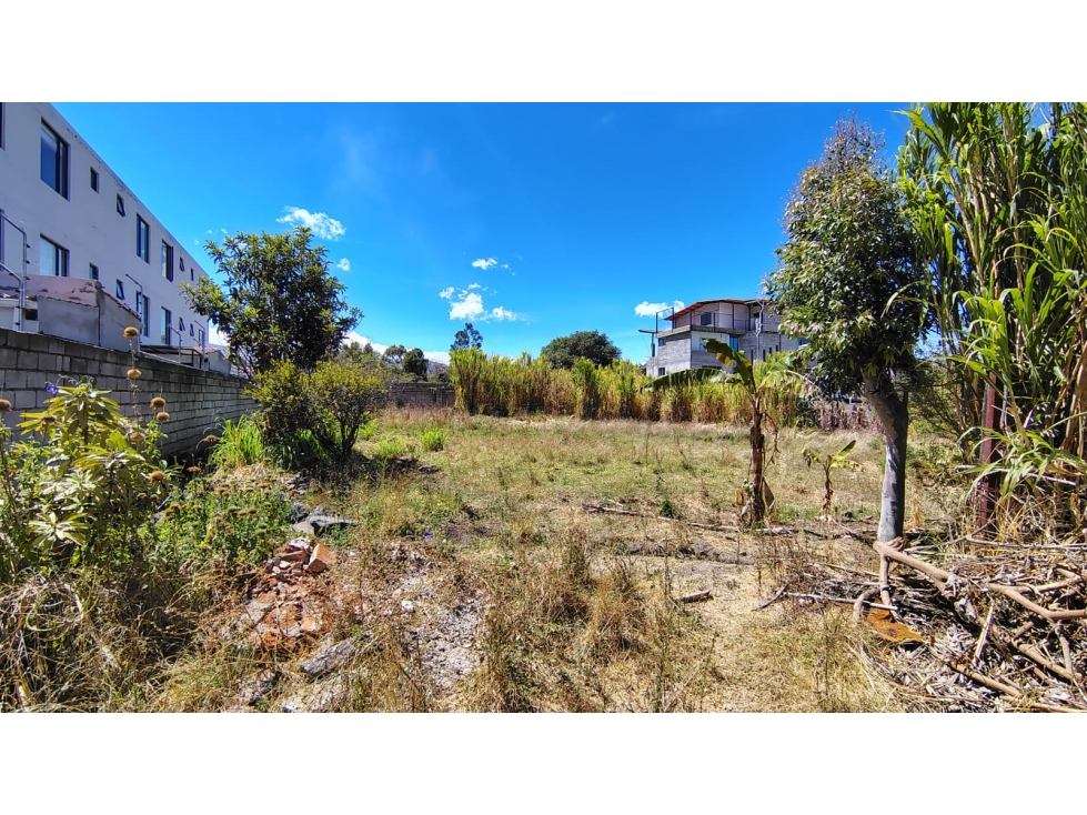 Terreno en venta Morita, Tumbaco, pocas Cuadras Ruta Viva 2163m2 - 6