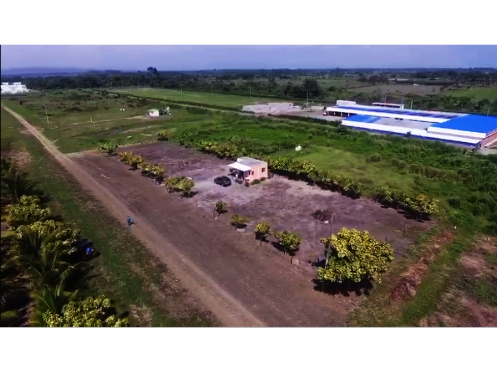 Venta Lotes cerca al mar, Sector Cojimíes $45,000 - 3