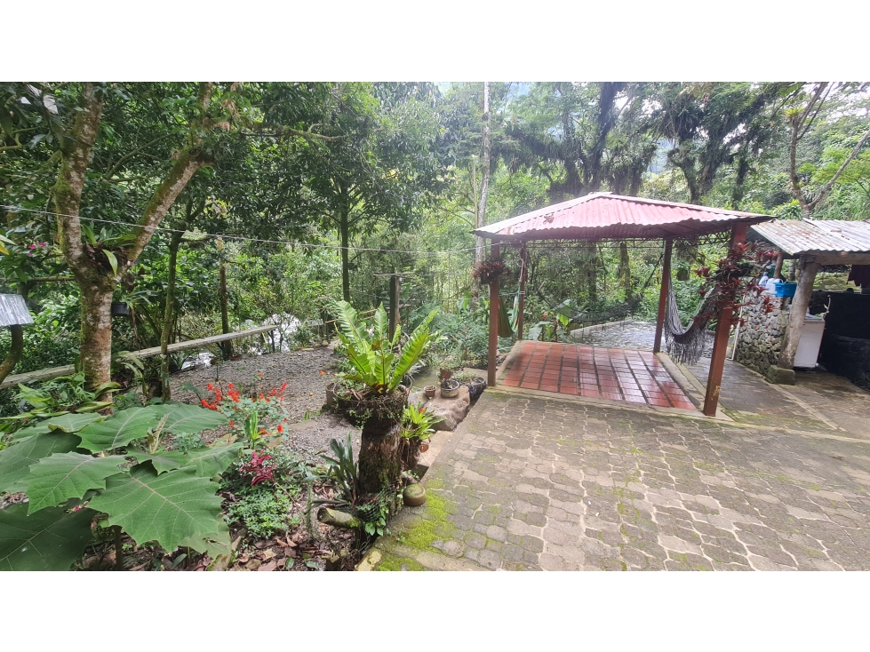 Alquilo FINCA vereda San Francisco - Pance Cali Valle del Cauca - 6