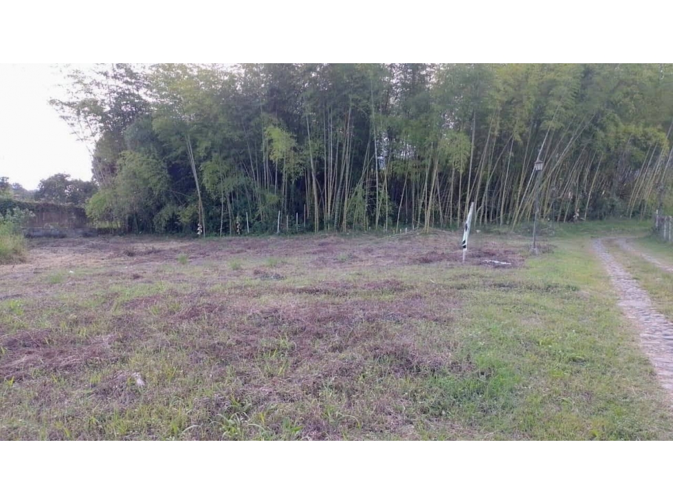 Venta LOTE El Vergel Lago Calima Darien Valle del Cauca - 3
