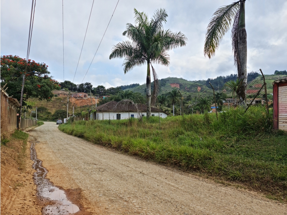 Venta LOTE El Carmen Borrero Ayerbe Km 30 Valle del Cauca - 4