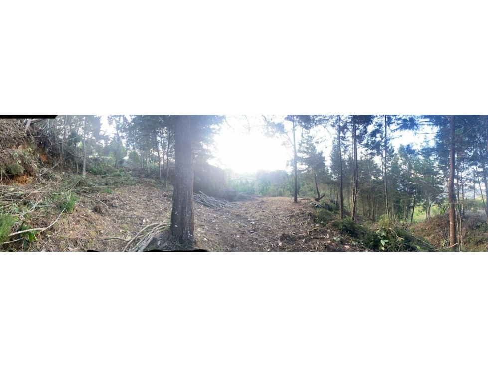 VENDO LOTE VEREDA PIEDRAS BLANCAS, SECTOR OCHUVAL GUARNE