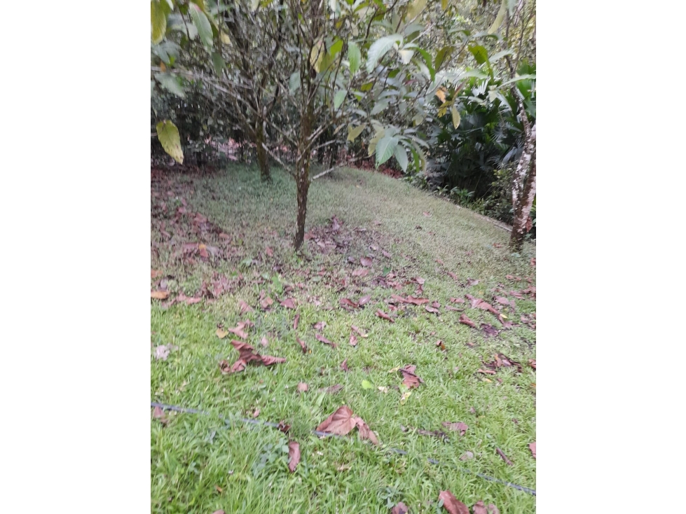 Vendo Lote en Sopetrán 3.800 m2