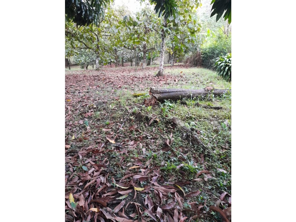 Vendo Lote en Sopetrán 3.800 m2 — foto 6