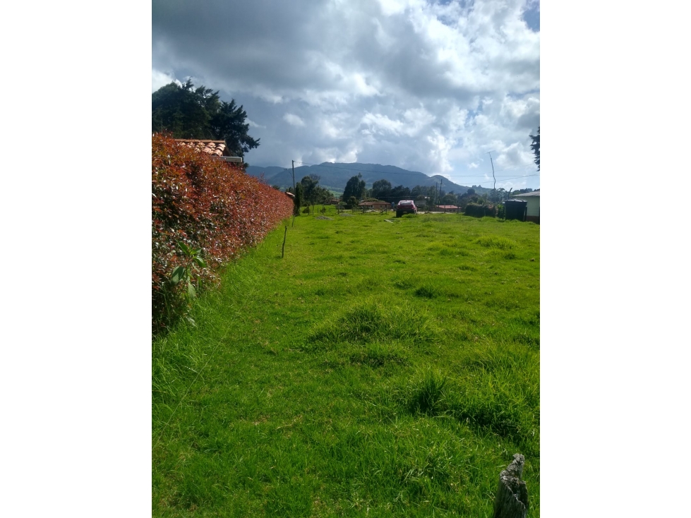 VENDO LOTE ENTRE SAN PEDRO Y SAN FELIX 978.9 m2 — foto 2