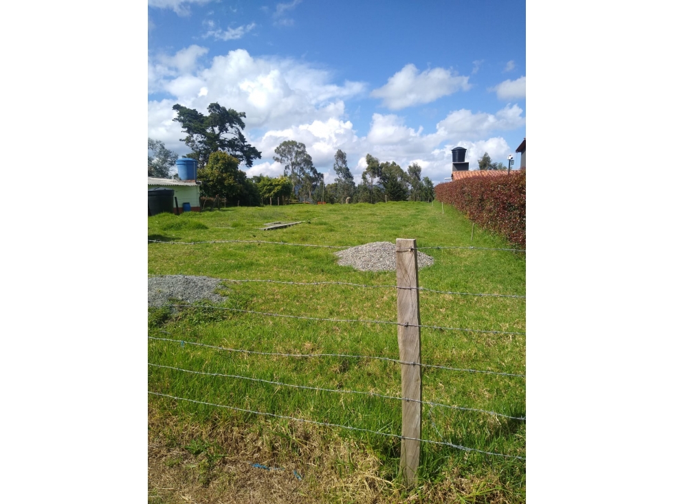 VENDO LOTE ENTRE SAN PEDRO Y SAN FELIX 978.9 m2 — foto 3