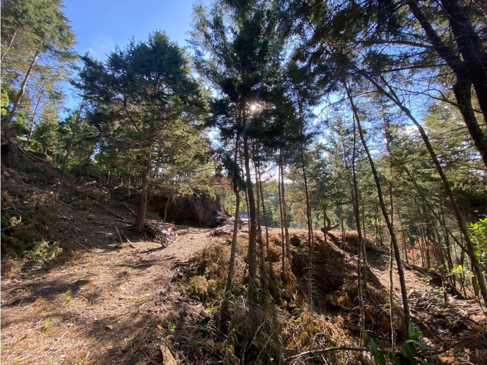 VENDO LOTE VEREDA PIEDRAS BLANCAS, SECTOR OCHUVAL GUARNE — foto 4