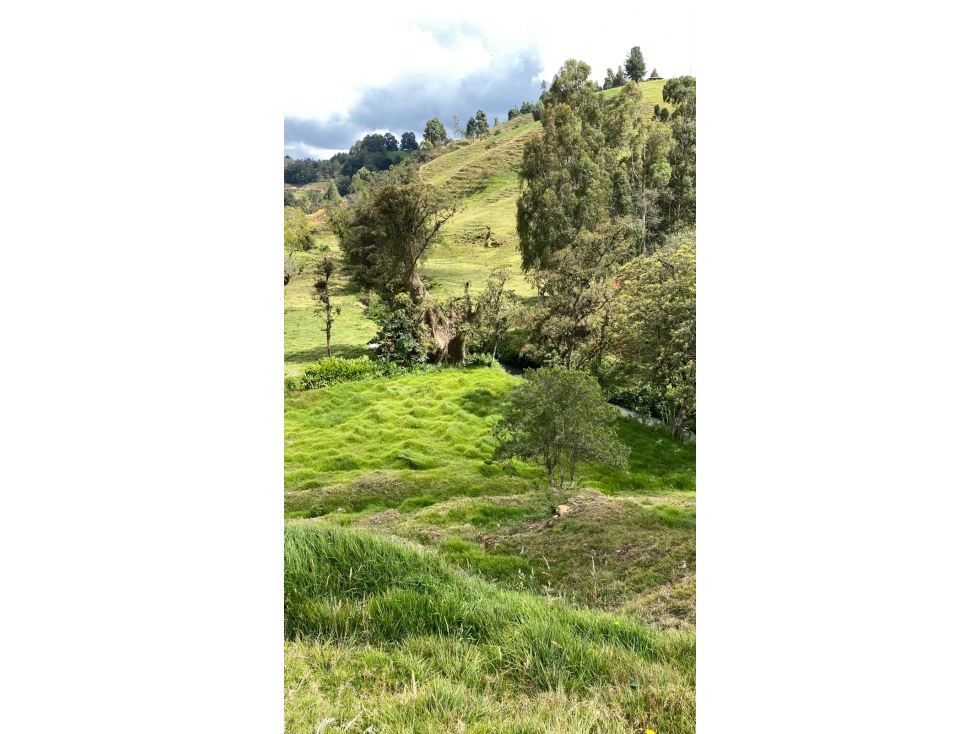 Vendo lote en San Pedro de los milagros a 5 minutos del Pueblo — foto 3