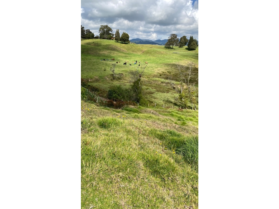 Vendo lote en San Pedro de los milagros a 5 minutos del Pueblo — foto 4