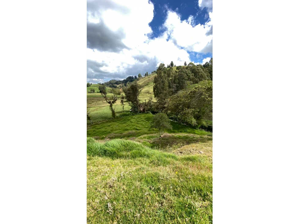 Vendo lote en San Pedro de los milagros a 5 minutos del Pueblo — foto 5