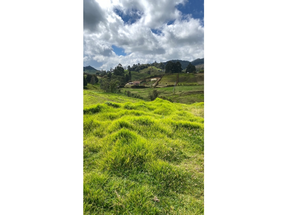 Vendo lote en San Pedro de los milagros a 5 minutos del Pueblo — foto 6