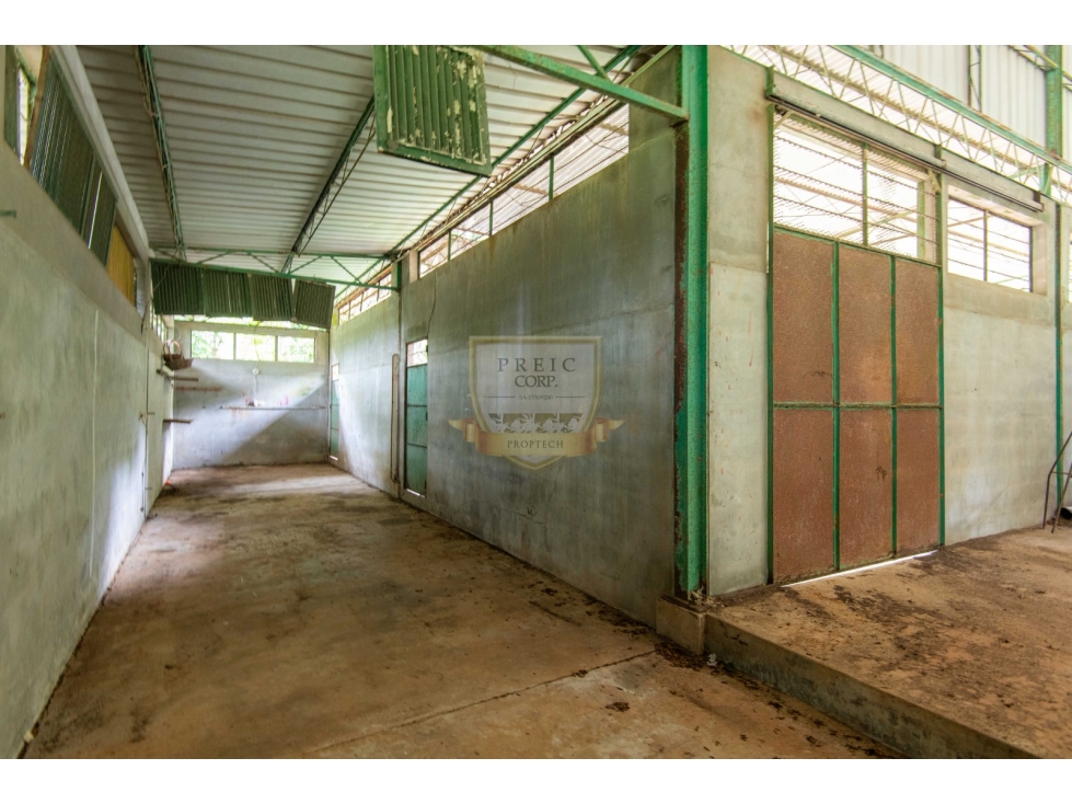 SE VENDE GALERA EN LA CHORRERA, CERCA A MYSTIC CITY - 3