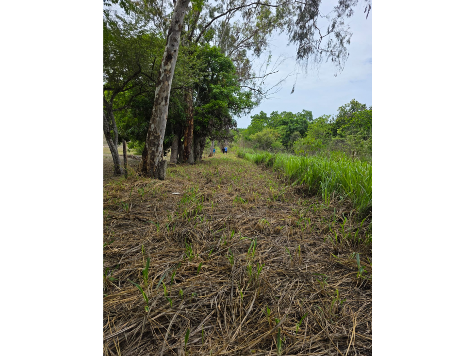 Terreno en Venta El Majagual, Antón, Coclé *Ericka - 6