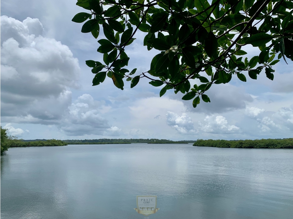 Vendo finca en Bocas del Toro Isla Bastimento L.T - 5