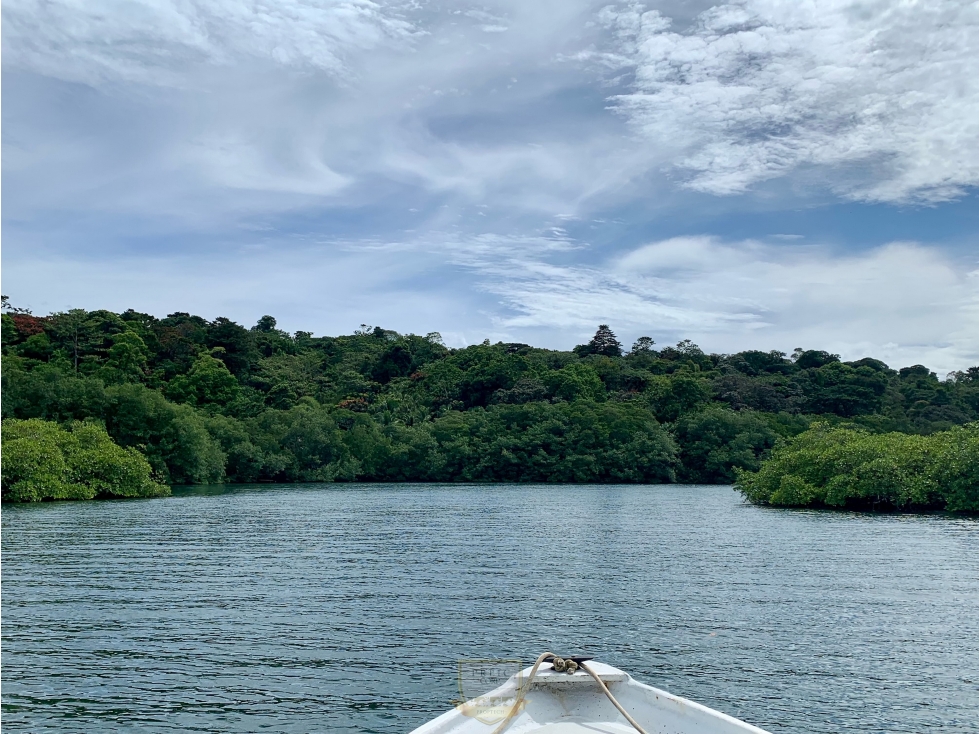 Vendo finca en Bocas del Toro Isla Bastimento L.T - 3