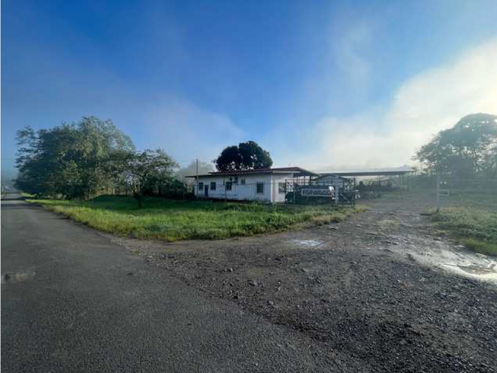 Terreno en Venta en Colón, San juan, Sector Sardinilla. SD — foto 2