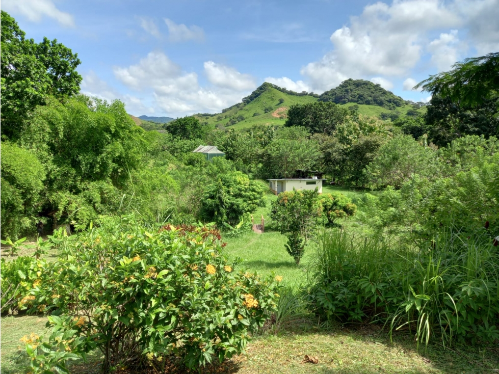 FINCA DE LUJO EN VENTA CON CASA Y ACCESO AL RÍO (C.P) - 6