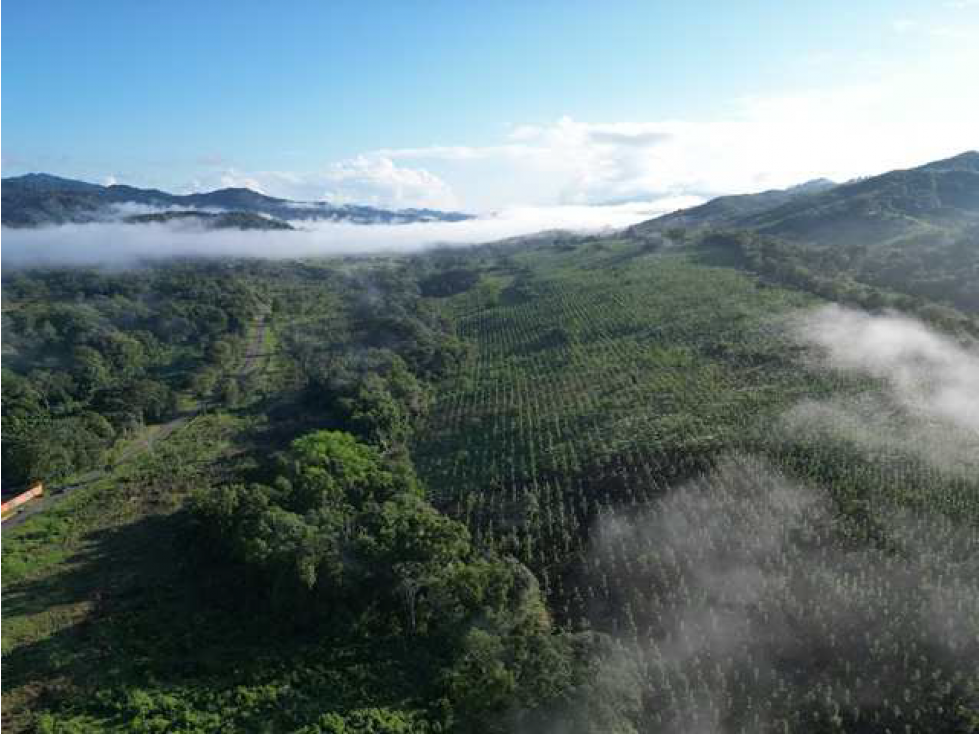 Terreno en Venta en Colón, San juan, Sector Sardinilla. SD — foto 6