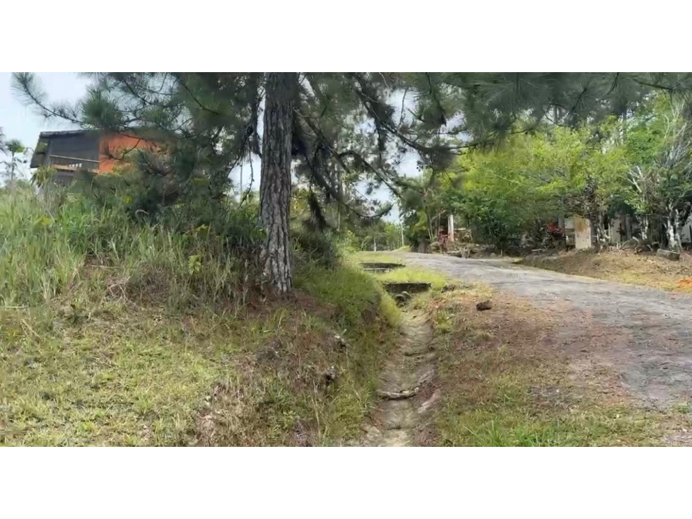 TERRENO EN VENTA CERRO AZUL LH - 2