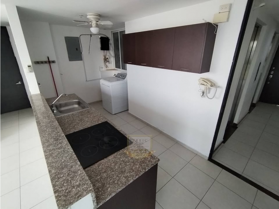 Apartamento en Alquiler PH Alsacia Towers G.S - 2