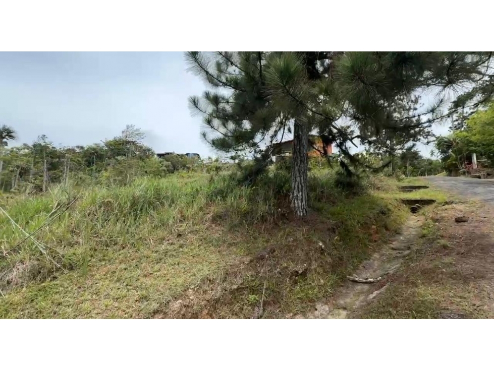 TERRENO EN VENTA CERRO AZUL LH - 3