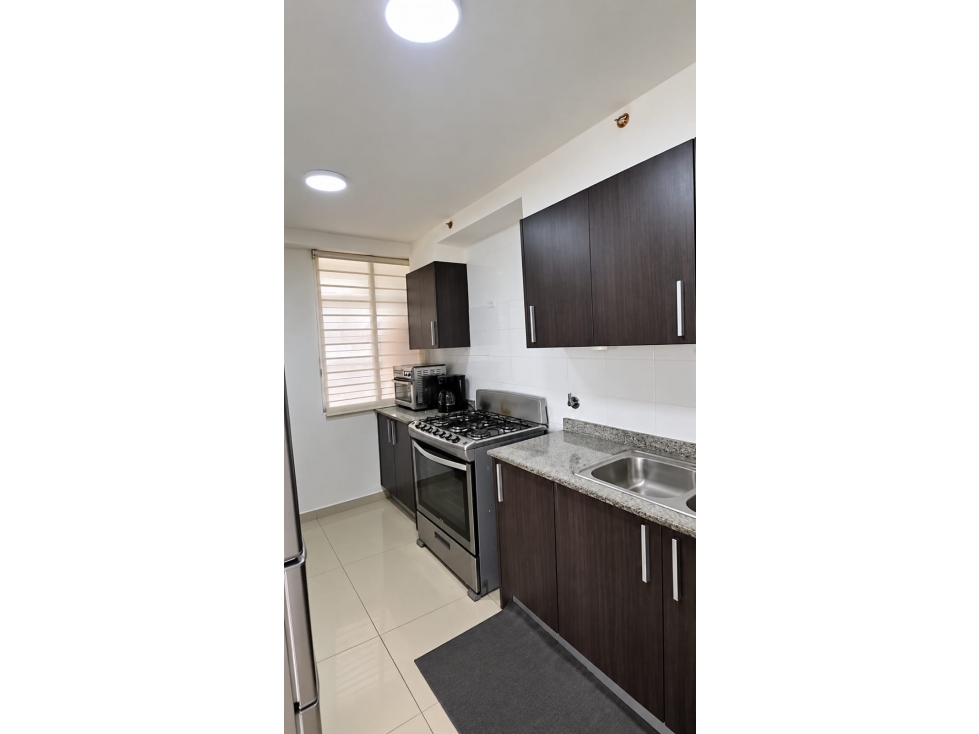 Apartamento amoblado en alquiler PH SkyPark | Vista a ParqueOmar A.A — foto 5