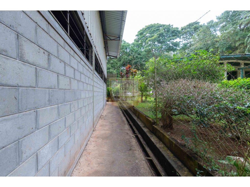 SE VENDE GALERA EN LA CHORRERA, CERCA A MYSTIC CITY - 6