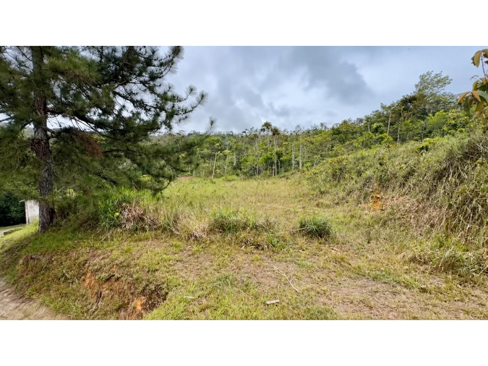 TERRENO EN VENTA CERRO AZUL LH - 4