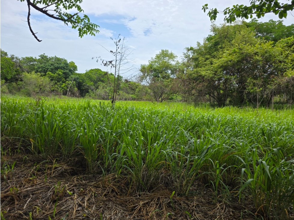 Terreno en Venta El Majagual, Antón, Coclé *Ericka - 3