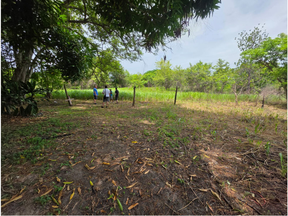 Terreno en Venta El Majagual, Antón, Coclé *Ericka - 1