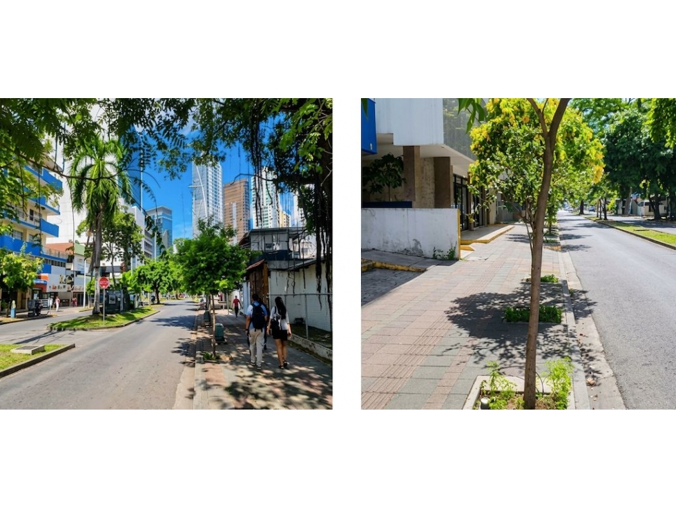 SE VENDE EDIFICIO VIA ARGENTINA ROI 10% 781 Mtrs (OG) - 3