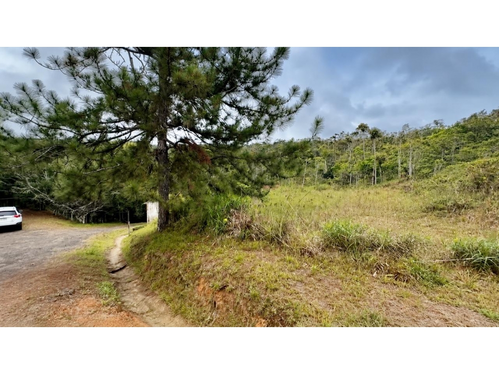TERRENO EN VENTA CERRO AZUL LH - 5