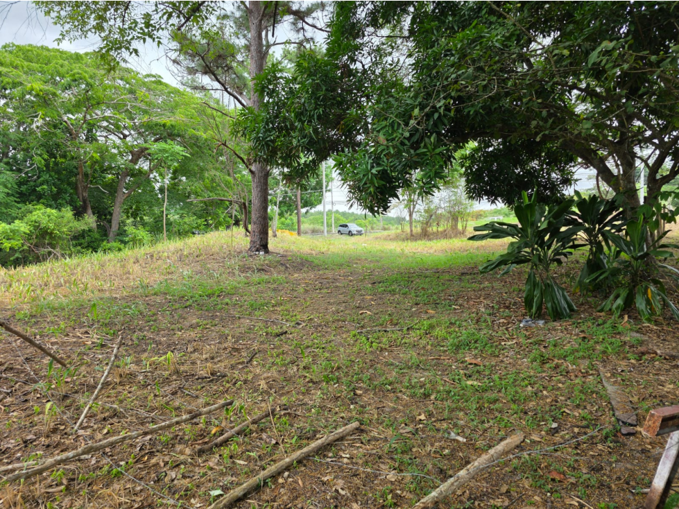 Terreno en Venta El Majagual, Antón, Coclé *Ericka - 2
