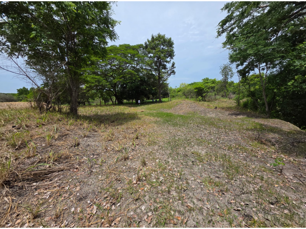 Terreno en Venta El Majagual, Antón, Coclé *Ericka - 4