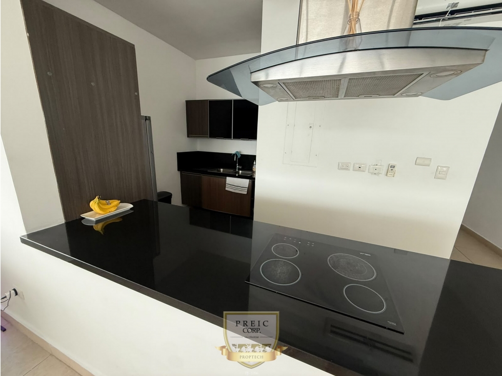 Alquilo apartamento amoblado en Av Balboa Rivage L.T — foto 6