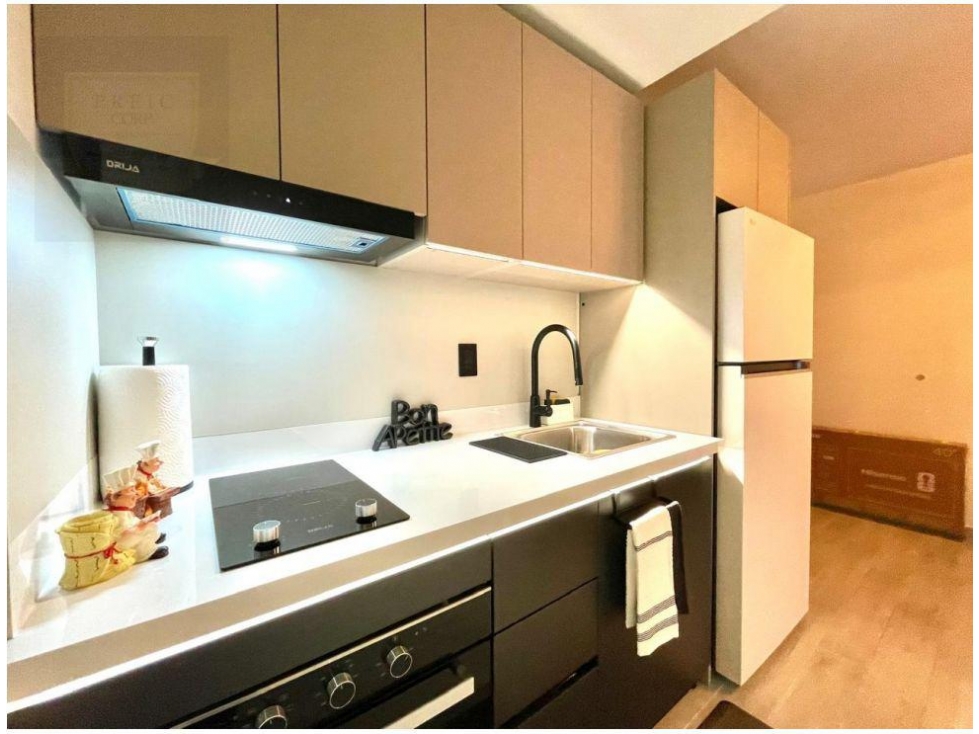 SE ALQUILA APARTAMENTO AMOBLADO EN PH ALEXA — foto 6