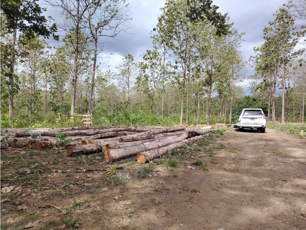 Terreno en Venta en Colón, Vía Gatuncillo, Salamanca. SD — foto 6