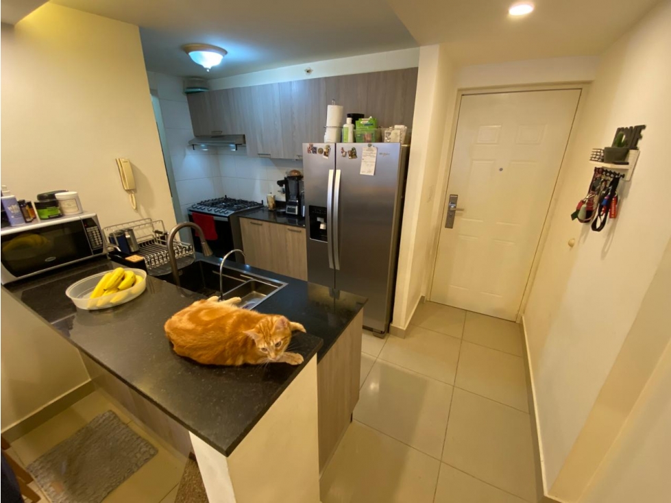 VENTA DE APARTAMENTO EN CARRASQUILLA - PH CORAL TOWER KT - 5