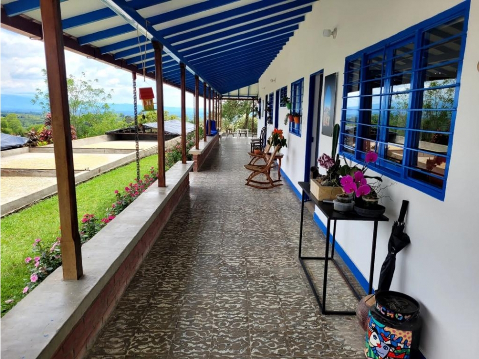 VENDO FINCA A 3 KM DE ARMENIA