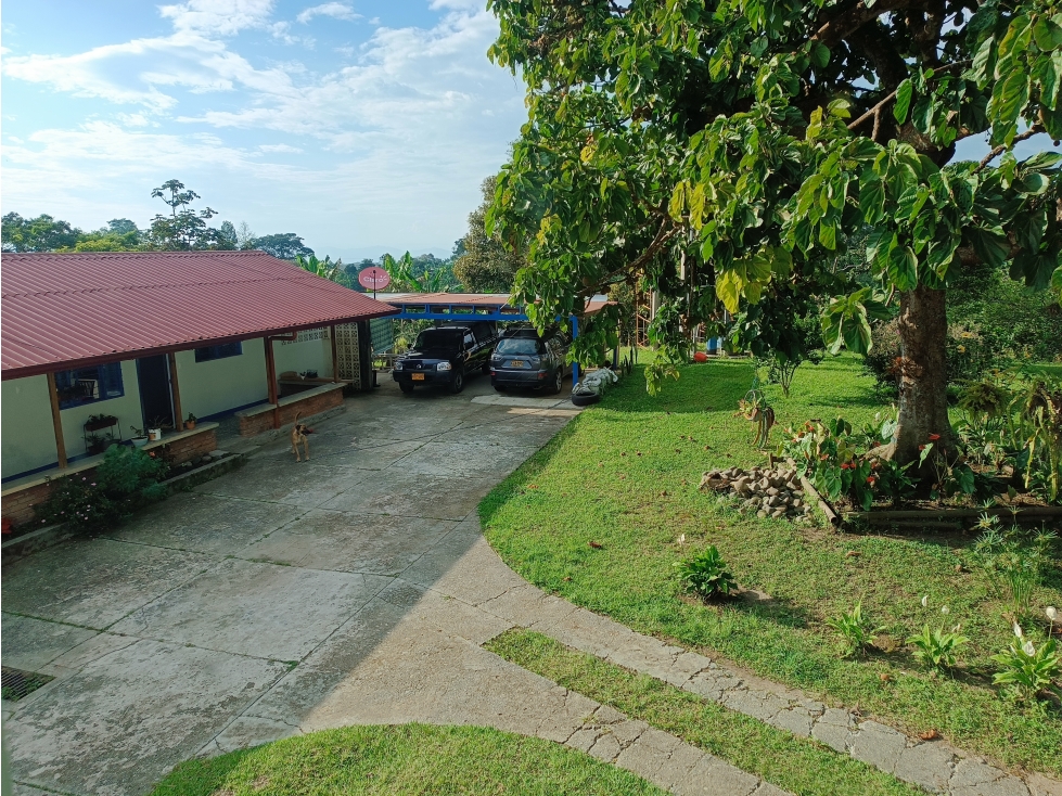 ARRIENDO CASA RURAL A 3 KM DE ARMENIA — foto 4
