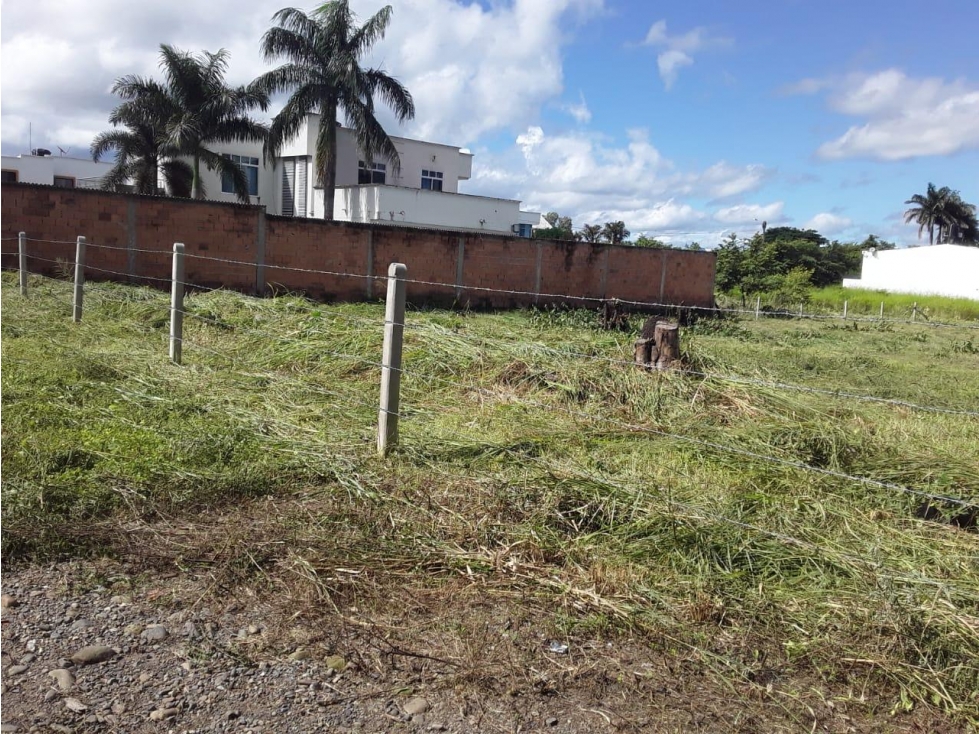 Vendo Lote Yopal El Pedregal. — foto 3