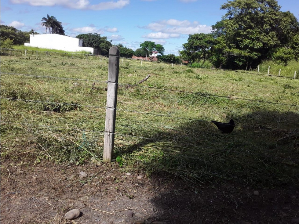 Vendo Lote Yopal El Pedregal. — foto 5