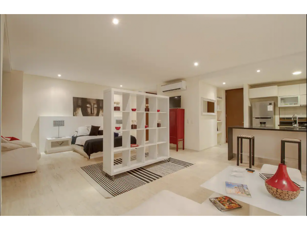 Apartamento tipo Loft en el Centro Historico