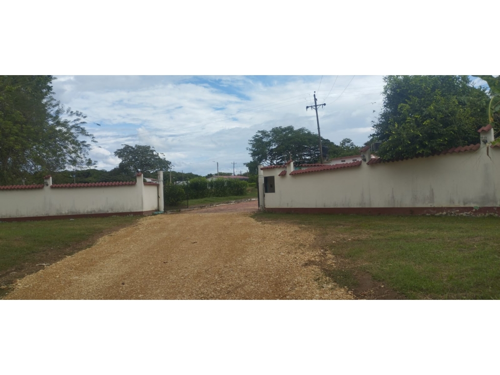 Lote Exclusivo en Carmen de Apicalá solo $95 Millones - 3