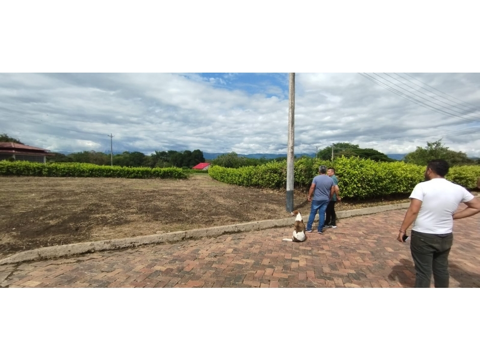 Lote Exclusivo en Carmen de Apicalá solo $95 Millones - 6