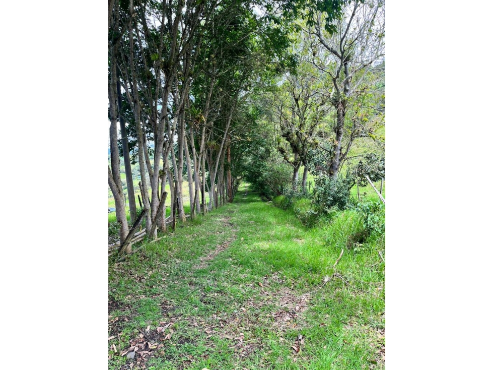 VENDO LOTE CON BELLAVISTA EN CHOACHI - 4